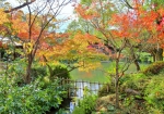 11/28 庭園の“秋”を（3）…!!!
