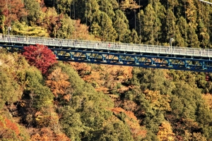 渡橋と紅葉を楽しむ観光客