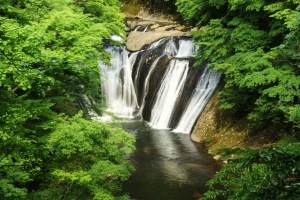 新緑に包まれた生瀬滝（５月）