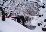 朱色の欄干と雪の白色が美しい下乗橋