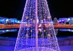 12/21 煌く巨大クリスマスツリーをセンターに・・・公園内を撮ってみました…!!!