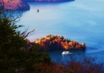 紅葉の八丁出島を横切る観光船。観光船から歓声が聞こえそう！！