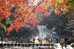 粟又の滝と紅葉　2013/11/30