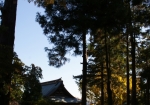 森に囲まれた筑波山神社
