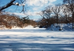 同じ場所で撮影した１月の結氷後の大沼です。