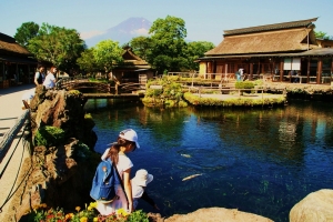美しい泉と雄大な忍野富士！！そして美しい朝の里山風景に癒されます。