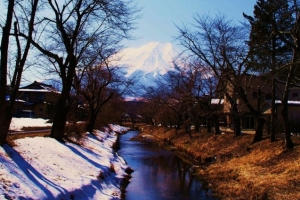 桂川から見える忍野富士（４月は桜が満開に・・・。）