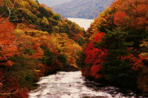 紅葉と滝の向こうに中禅寺湖を望む