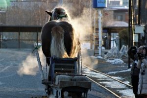 調教後のばん馬。厳寒の中、体中から湯気が立ち上る冬ならではの風景