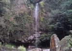裏見の滝 自然花苑 4