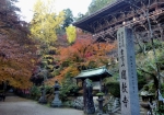 秋の圓教寺