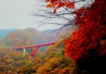 ”12・11/14 温井ダム〜R186 「紅葉と橋」