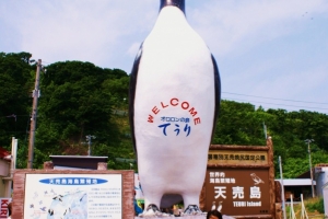 天売島のシンボル「オロロン鳥」。注：ペンギンではありません！！