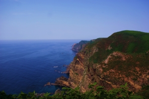天売島西側の景勝地。断崖絶壁が海鳥の営巣に最適