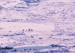 流氷の上を歩く流氷ウオークツアー。もちろんココは日本です
