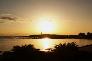 夕陽に包まれる「野島崎」と「野島崎灯台」