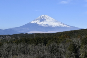 吊り橋から見える絶景の富士山