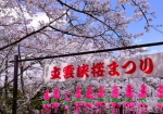 4/13 但馬の吉野とも謳われている❝立雲峡❞の“桜”を…!!!