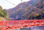 11/17 ❛武田尾橋❜の上流から・・・鉄橋を渡る特急列車...と、・・・!!!