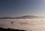 翌朝は秩父盆地全体を霧が埋め尽くしてました。わずかにハープ橋の主塔が見えました