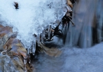 小中大滝公園内の清流では、至る所で氷の芸術を見る事が出来ました。それにしても美しい水と氷です
