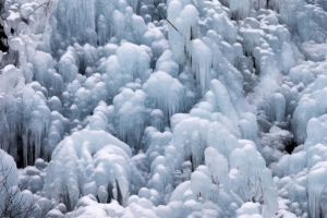 観光客と圧巻の氷柱の森