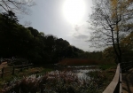 石神井公園の森の上を太陽が通過する