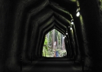 「柿木台第二トンネル」内から見えた、竹林とカーブミラー。普段は撮らないのに、なぜかホッとするような景色？？？でした