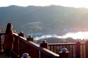 安波山から復興祈念公園を見下ろす。