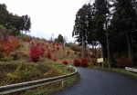 紅葉シーズンも美しい日向山に向かう道中