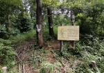 府中で唯一咲くムサシノキスゲが見られる公園。絶滅危惧種である。
